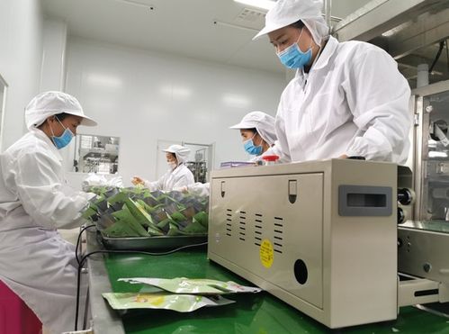 電力“蕉”出致富路 南方電網(wǎng)貴州興義供電局助力冊(cè)亨縣小米蕉產(chǎn)業(yè)煥發(fā)新活力